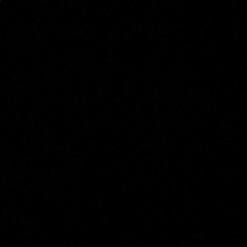 Meet your Posher, Abigail